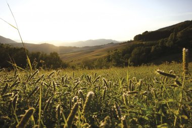 Preferire il cielo alla terra