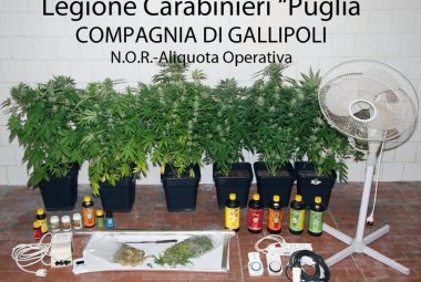 Coltivava marijuana in casa, arrestato galatinese