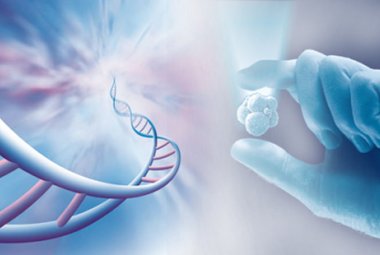 “L’etica clinica e la personalizzazione dell’assistenza”