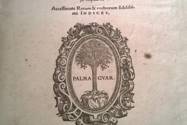 “Dal papiro alla carta”