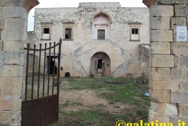 Tre randagi fanno strage di pecore intorno all'aeroporto di Galatina