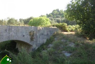 150 ragazzi alla passeggiata dell'amicizia