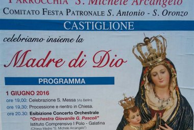 Le attività del Polo 1 per la fine dell'anno scolastico