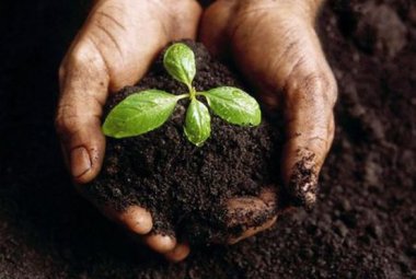 Dal 13 giugno "l'umido" andrà al compostaggio