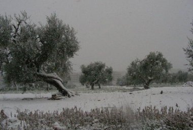 "Si tratta di te"