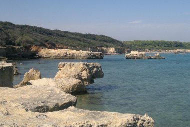 Il Salento eletto territorio dell'anno 2013