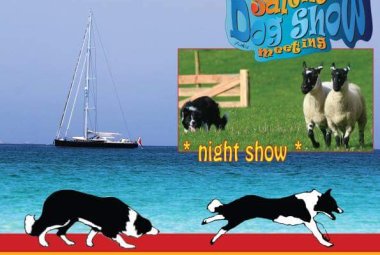 Più di mille cani all'Hermitage per la XIII edizione del Salento dog show 