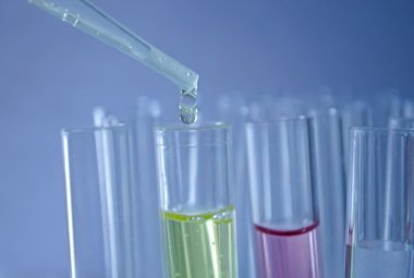 Gene Otx2, scoperta una sua funzione nelle cellule staminali