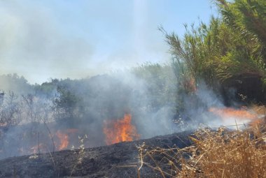 Incendio intorno al canale dell'Asso, un pomeriggio di paura per gli abitanti della zona