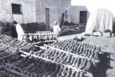 Quella casa chiusa