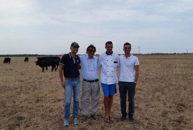 L'angus salentino alla conquista degli Usa