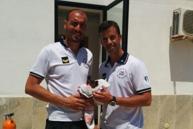 Gattino salvato dalla Guardia costiera