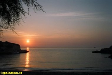 “La bellezza salverà il mondo” 
