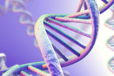 Come cresce la cellula