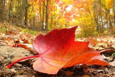 Il piacere di non lasciarsi