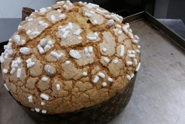 A Specchia il miglior panettone artigianale del Sud Italia 