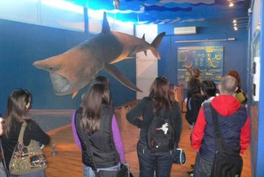 Festa finale per il 50esimo anniversario del Museo di Biologia Marina