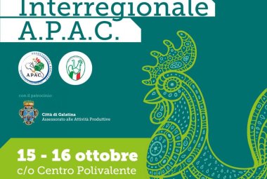 A Galatina la seconda mostra avicola e colombofila interregionale