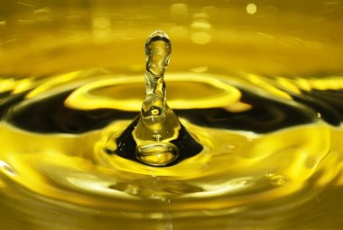 L'Olio Extravergine fa Festa