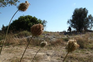 “Nella terra di mezzo”  alla 'Città del libro'