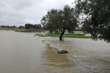 Esondazione torrente Asso 26 febbraio 2018