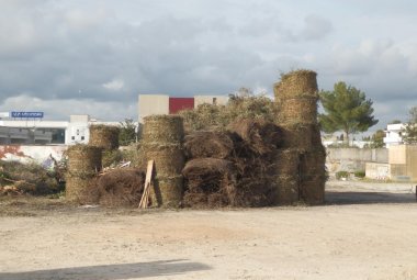 Ricostruita più grande la focara di Maglie distrutta dai vandali