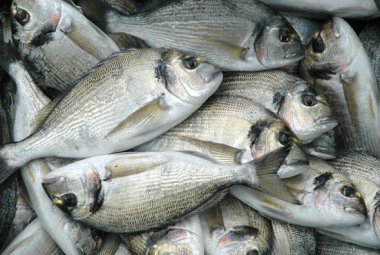 Educare i bambini a mangiare il pesce